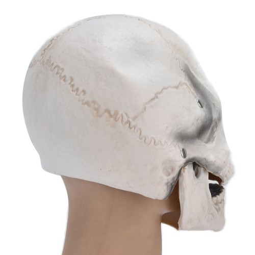 Totenkopfmaske